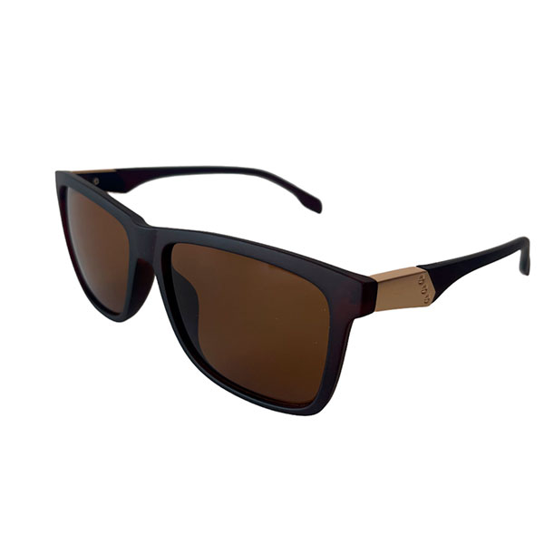 Lentes de Sol Marron Borde Dorado